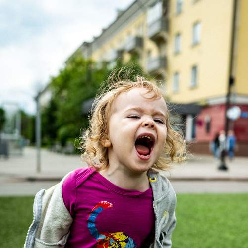 Photo #8507007