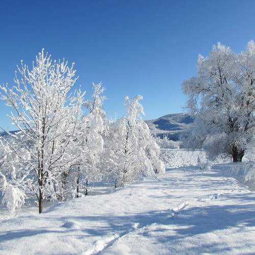 Photo #8507031