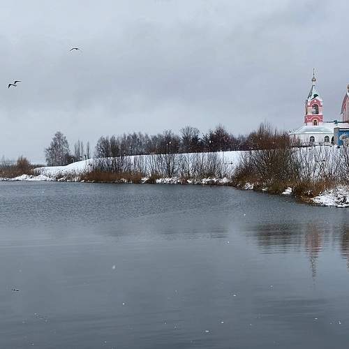 Photo #8507251
