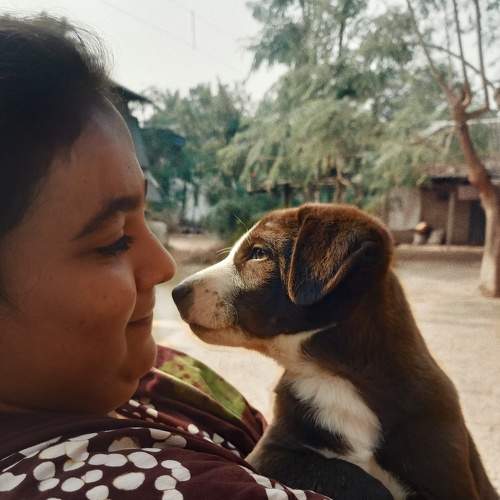 Photo #8507313