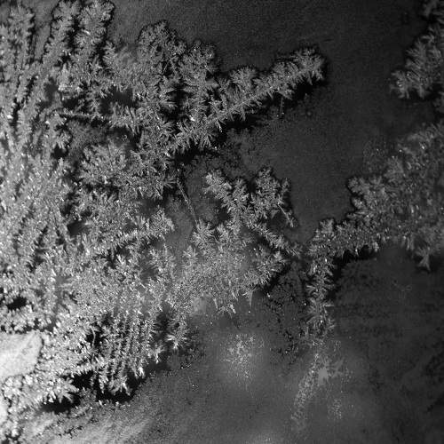 Photo #8508060
