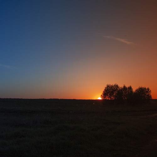 Photo #8508062