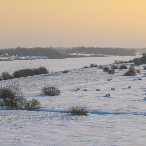 Photo #8508292