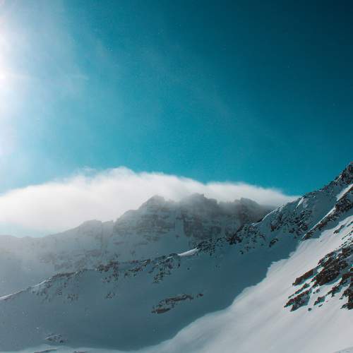 Photo #8508408