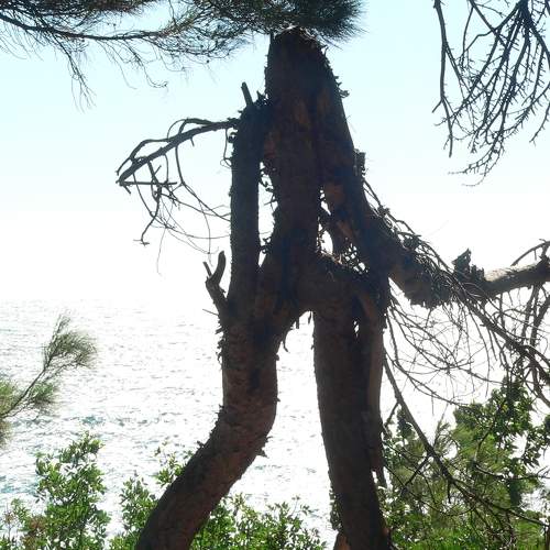 Photo #8508447