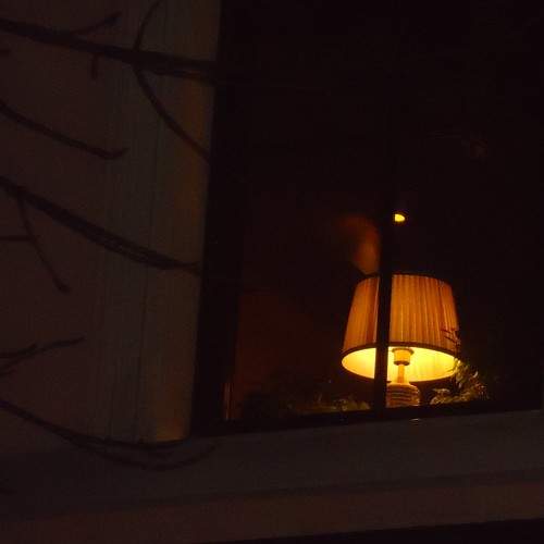 Photo #8508473