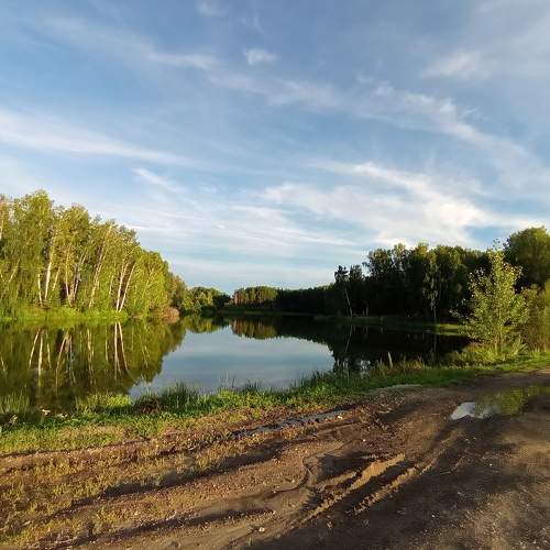 Photo #8508586