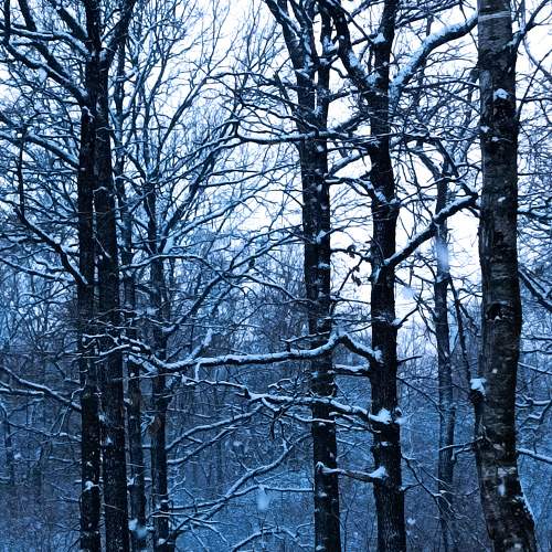 Photo #8509030