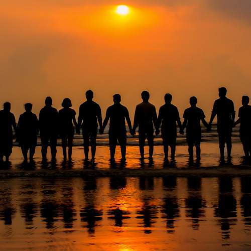 Photo #8509134