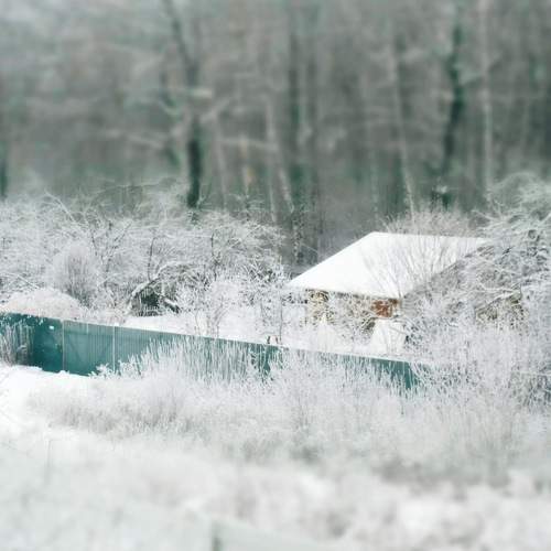 Photo #8509433