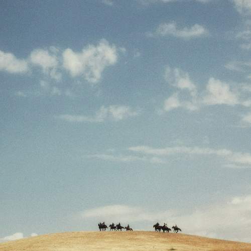 Photo #8509439