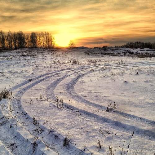 Photo #8509450