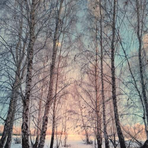 Photo #8509451