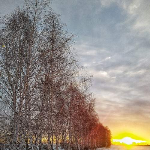 Photo #8509533