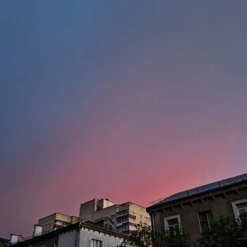 Photo #8509582