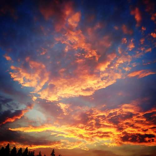 Photo #8509709