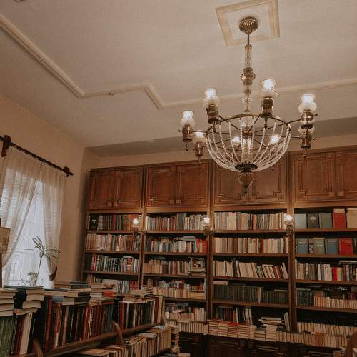 Photo #8509737