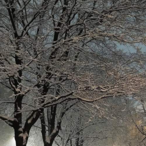 Зимний вечер /Winter evening