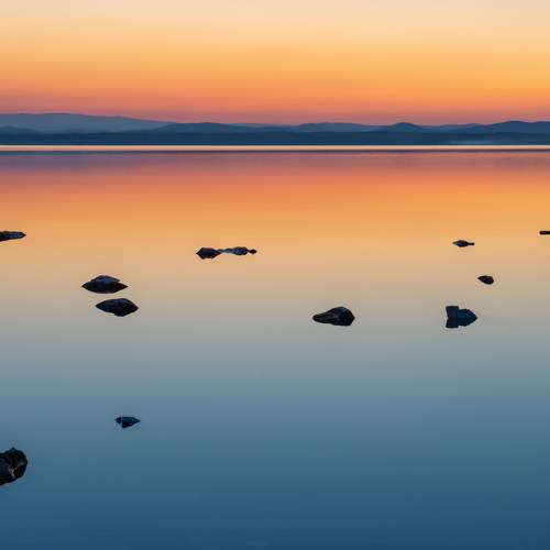 Photo #8509970