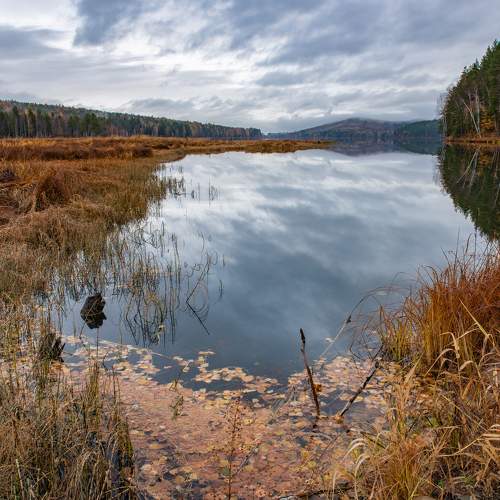Photo #8510061