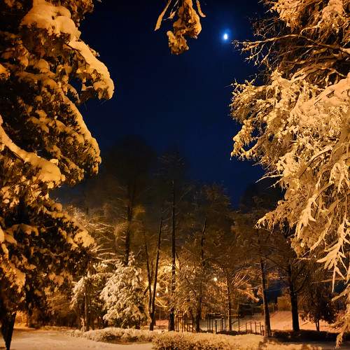 Photo #8510075