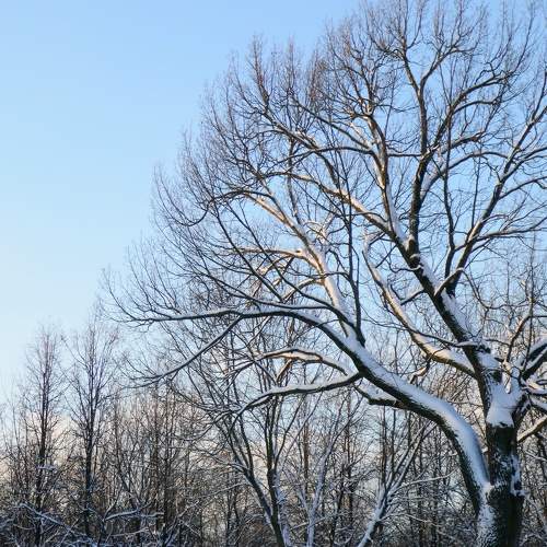 Photo #8510192