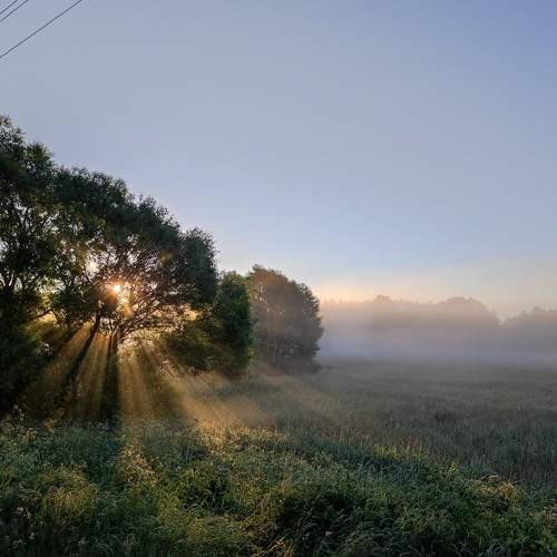 Photo #8510242