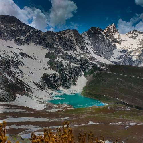 Photo #8510298