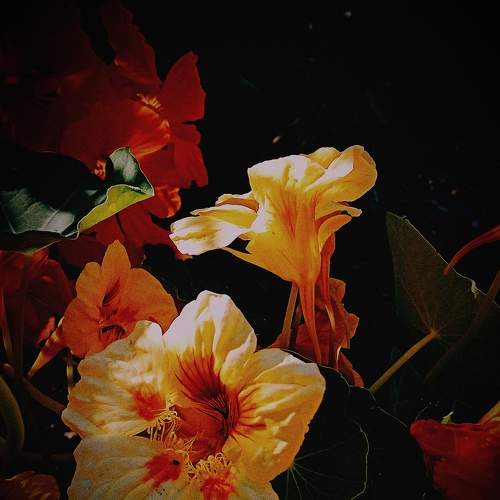 Photo #8510319