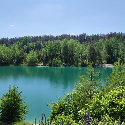 Photo #8510341