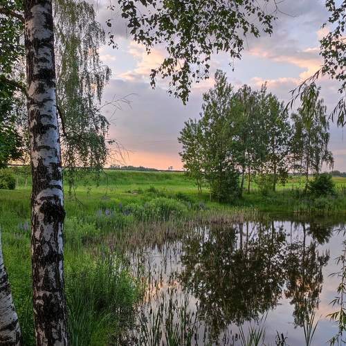 Photo #8510349