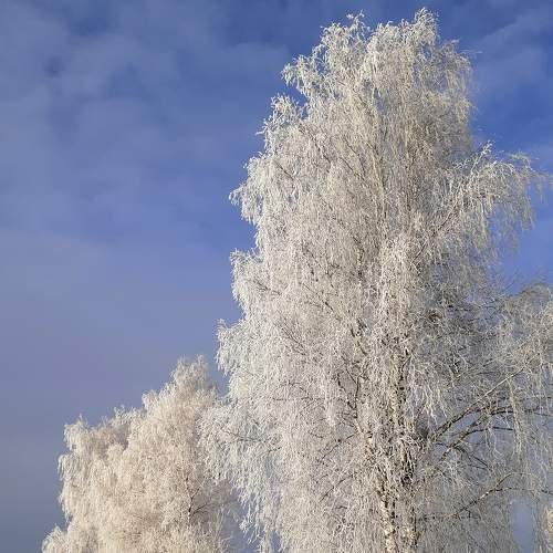 Photo #8510408