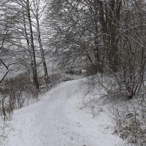 Path along the river