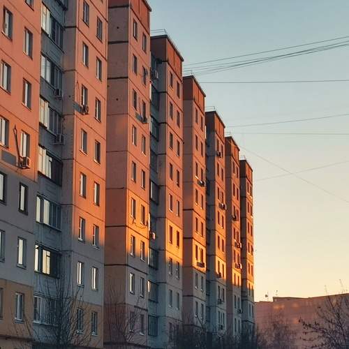 Photo #8510699