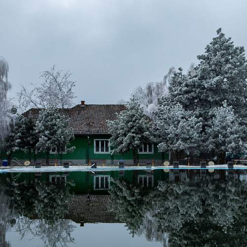 Photo #8510900
