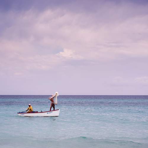 Photo #8510916
