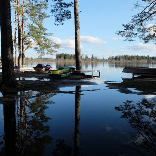 Photo #8511130