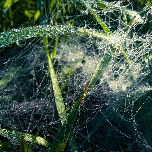 Photo #8511375