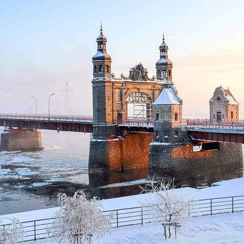 Photo #8511694