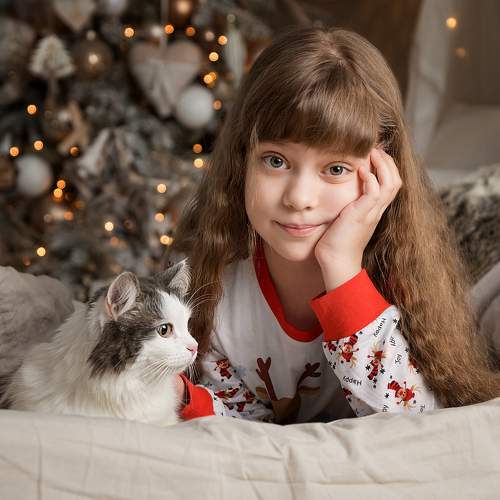 Photo #8511862