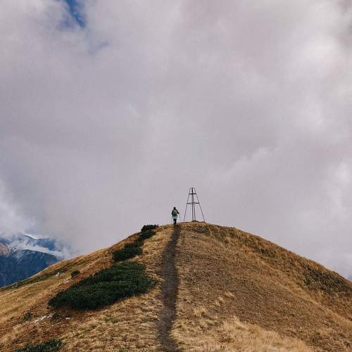Photo #8512056