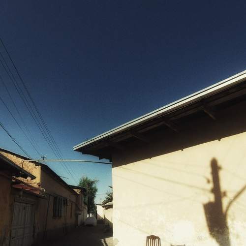 Photo #8512249