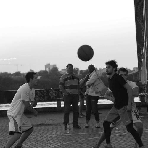 Photo #8512516