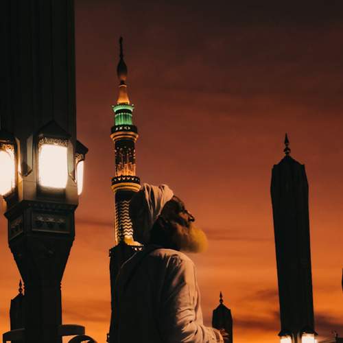 Photo #8512541