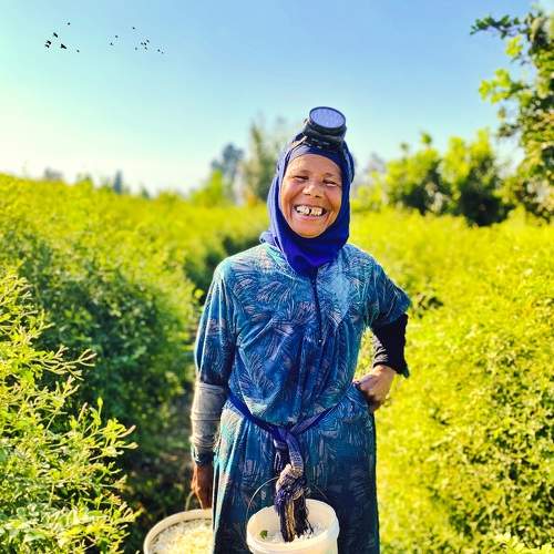 Photo #8512626