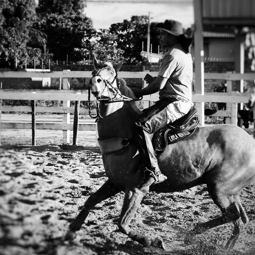 Brazilian cowboy