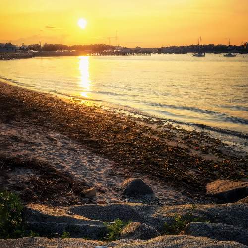 Photo #8512656