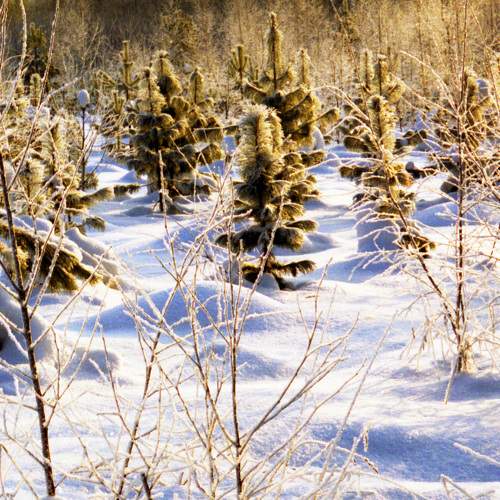 Photo #8512727