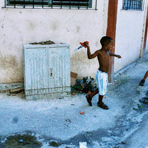 Photo #8512882