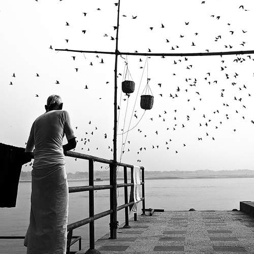 Photo #8512916